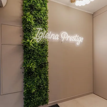 Igielna Prestige M8 *